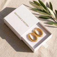 Thumbnail for Earrings for women — in the gift box, gold | SKU: lesmates